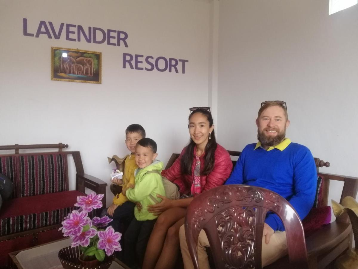 Lavender Resort نوفارا إيلِيا المظهر الخارجي الصورة