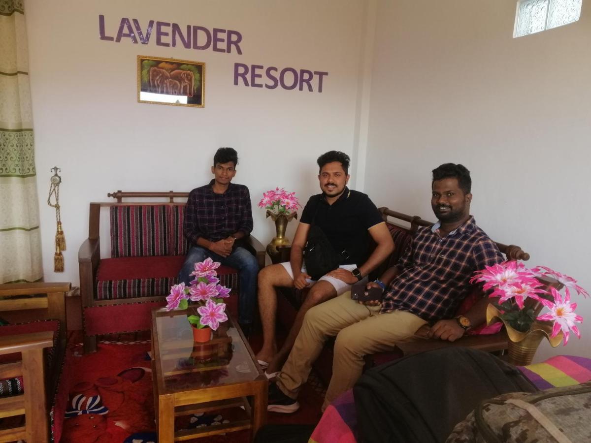 Lavender Resort نوفارا إيلِيا المظهر الخارجي الصورة